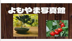 よもやま写真館